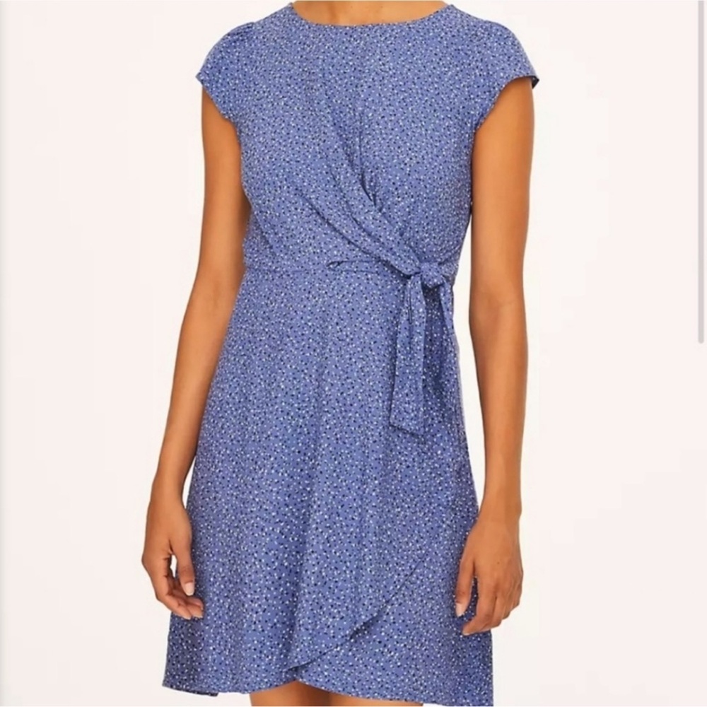NWT ANN TAYLOR DRESS